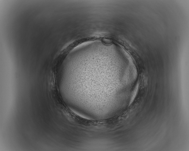 X0000112181158200908211454