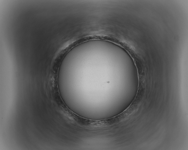 X0000112181159200908211454