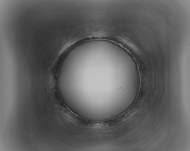 X0000112181160200908211454