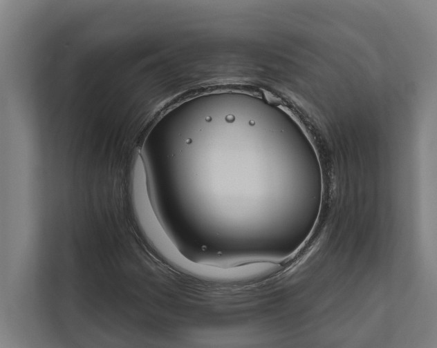 X0000112181161200908211454