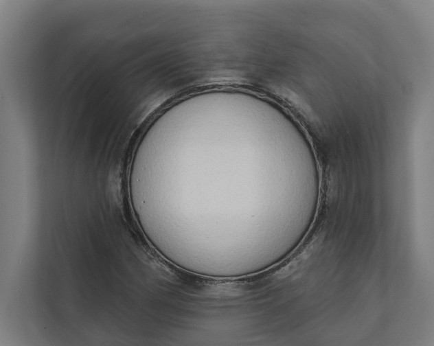 X0000112181162200908211454