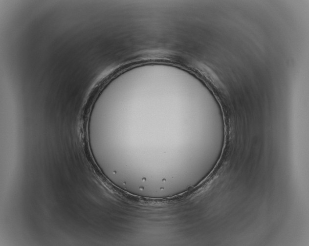 X0000112181164200908211454