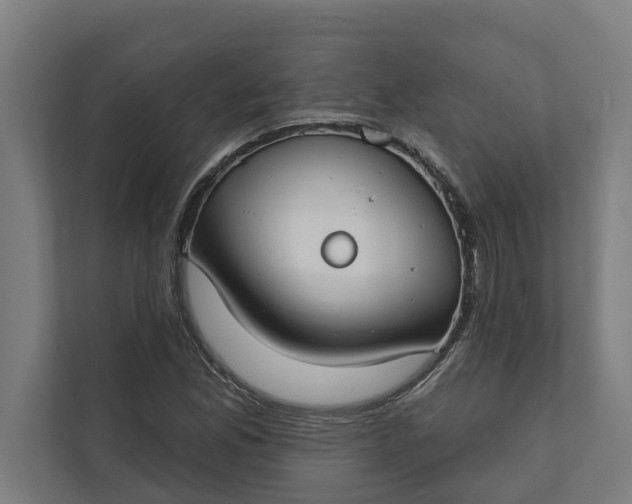 X0000112181165200908211454