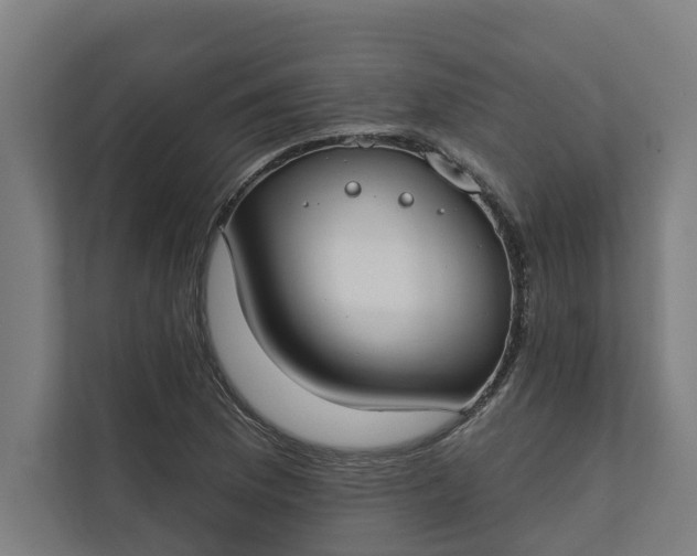 X0000112181169200908211454