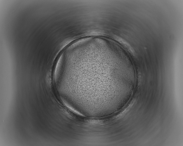 X0000112181170200908211454