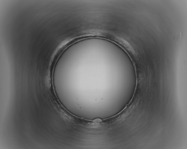 X0000112181172200908211454