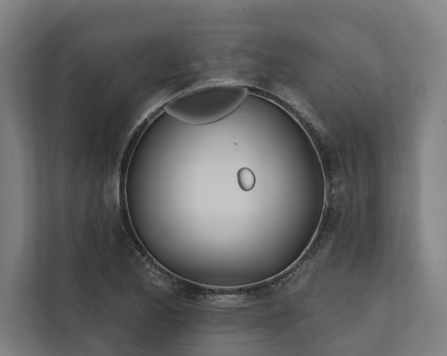 X0000112181173200908211454