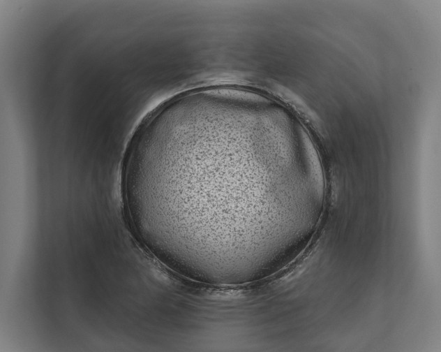 X0000112181174200908211454