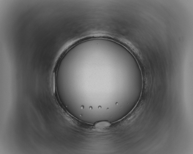 X0000112181175200908211454