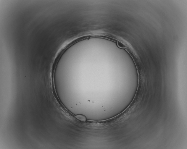 X0000112181176200908211454