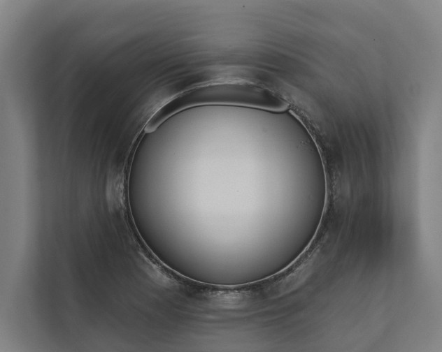 X0000112181177200908211454