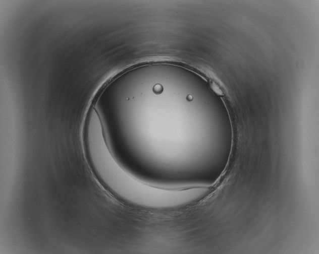 X0000112181181200908211454