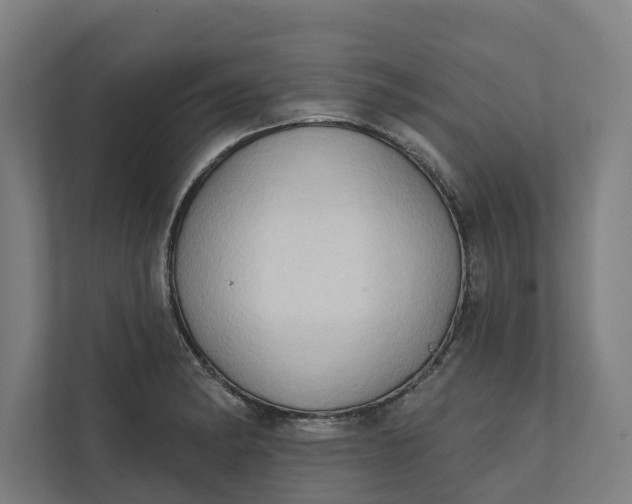 X0000112181182200908211454