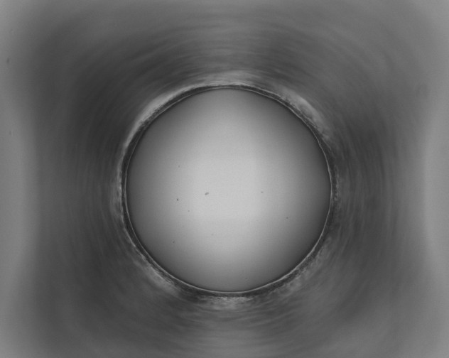 X0000112181184200908211454