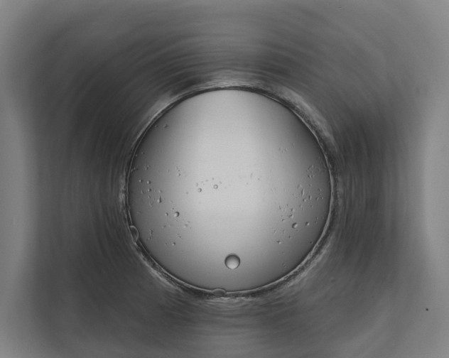 X0000112181185200908211454