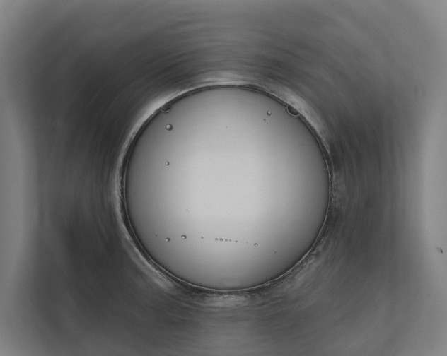 X0000112181187200908211454