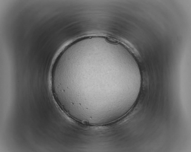 X0000112181188200908211454