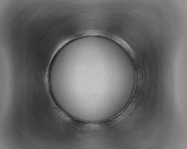 X0000112181190200908211454