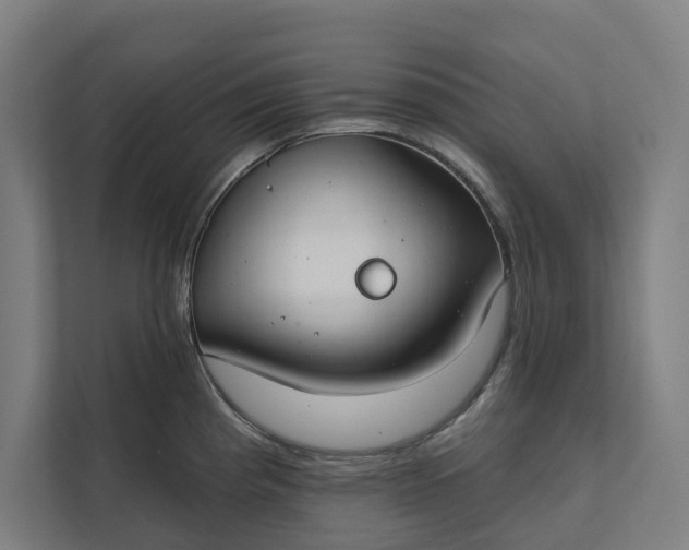 X0000112181193200908211454