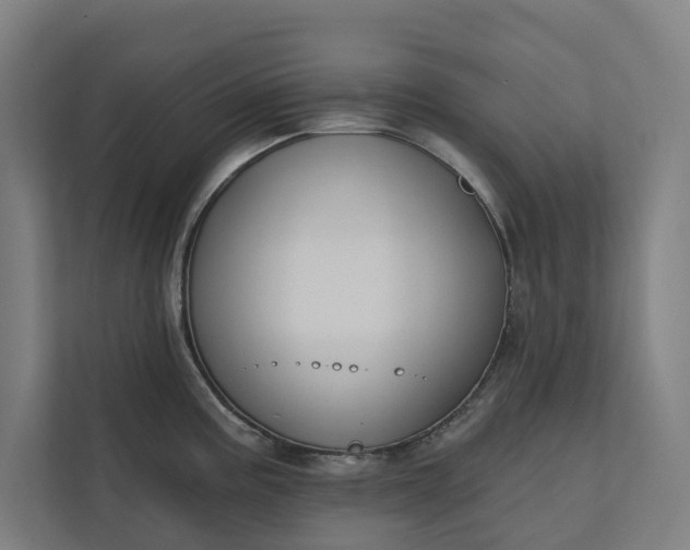 X0000112181195200908211454