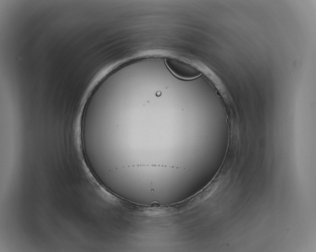 X0000112181199200908211454