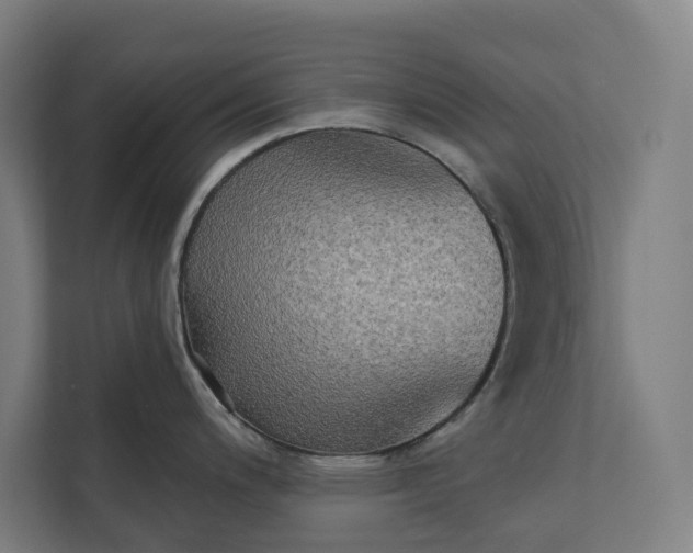 X0000112181200200908211453