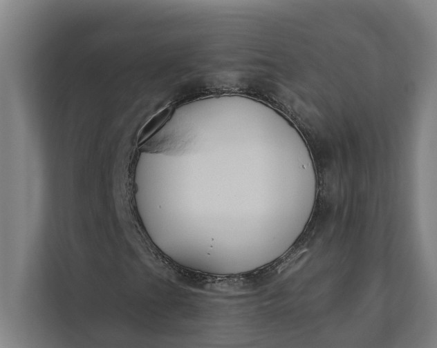 X0000112181201200908211453