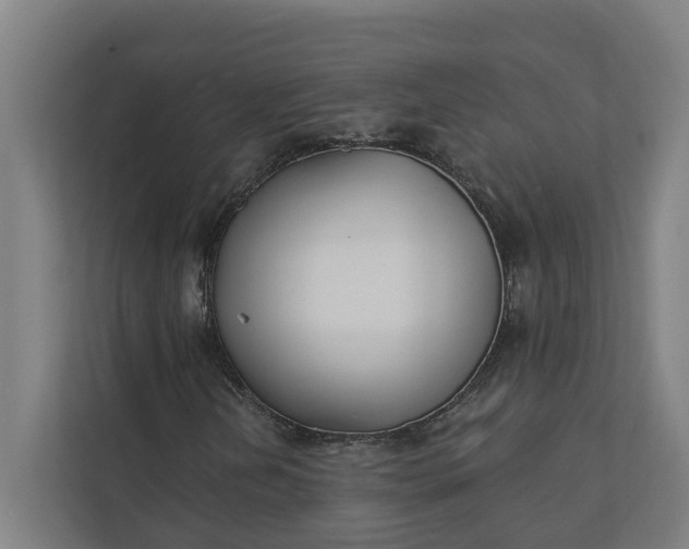 X0000112181202200908211453