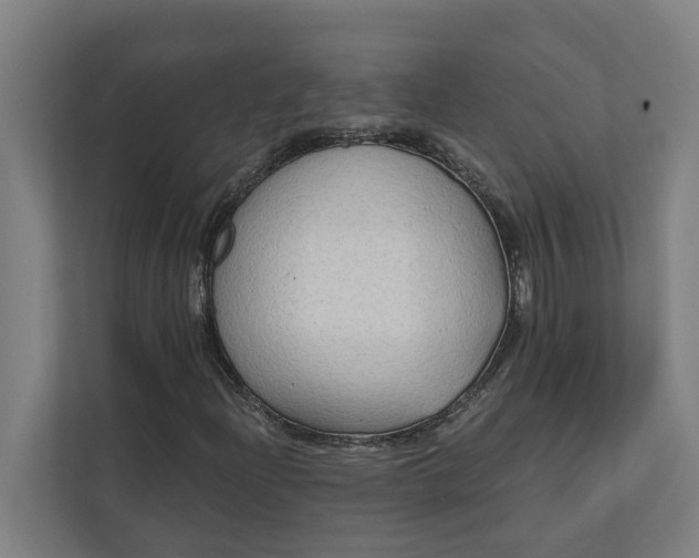 X0000112181204200908211453