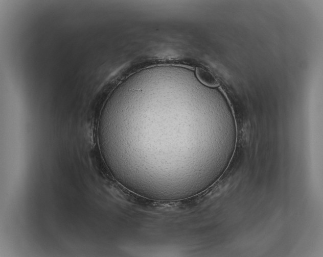 X0000112181205200908211453