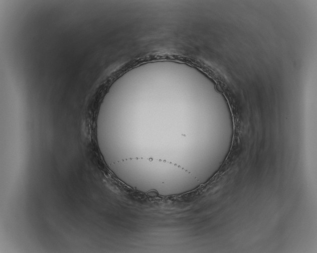 X0000112181207200908211453