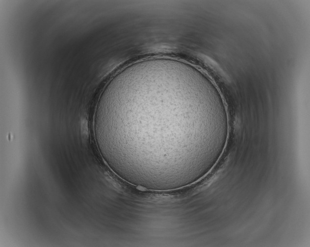 X0000112181209200908211453