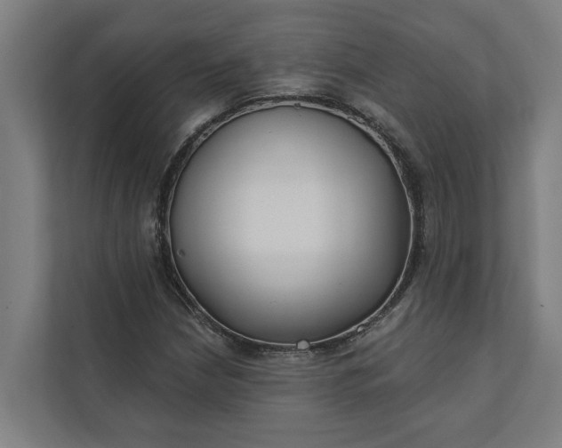 X0000112181210200908211453