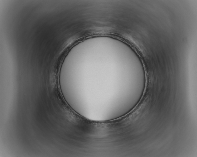 X0000112181211200908211453