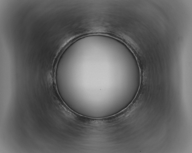 X0000112181212200908211453