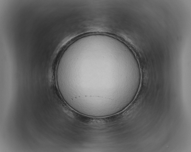 X0000112181215200908211453