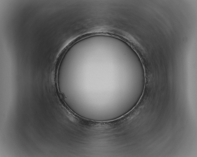 X0000112181216200908211453