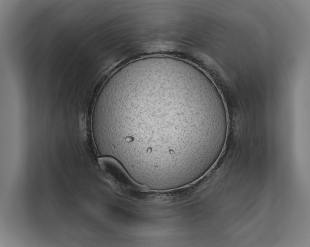 X0000112181217200908211453