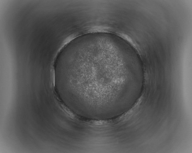 X0000112181219200908211453