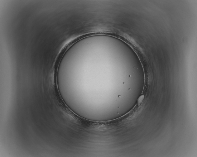 X0000112181222200908211453