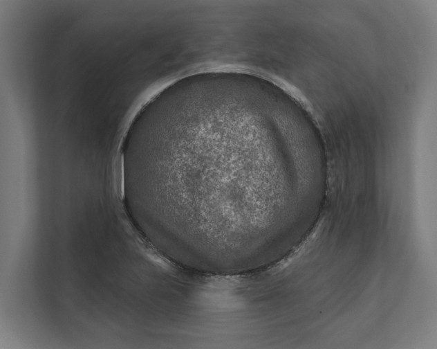 X0000112181223200908211453