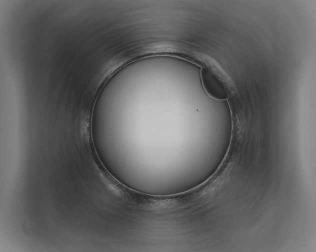 X0000112181225200908211453