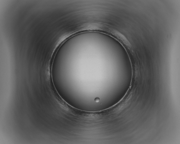 X0000112181226200908211453