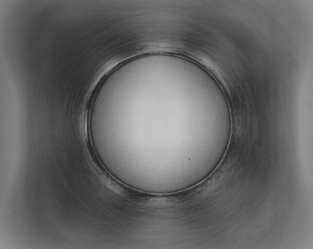 X0000112181227200908211453