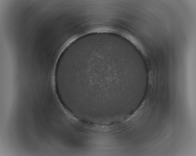 X0000112181229200908211453