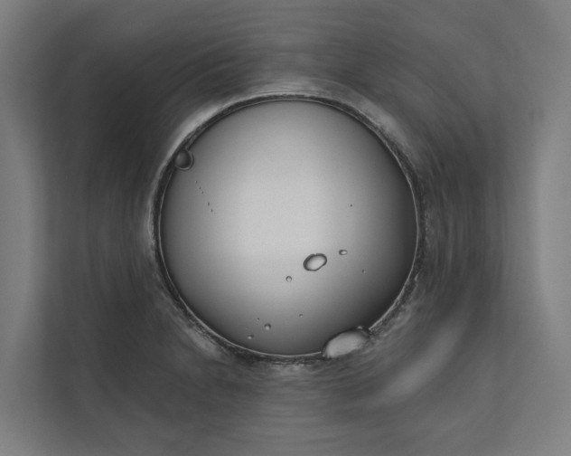 X0000112181230200908211453