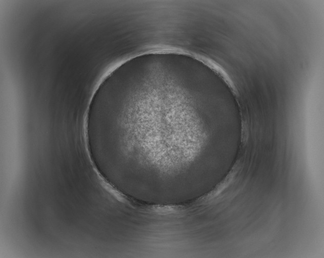 X0000112181231200908211453