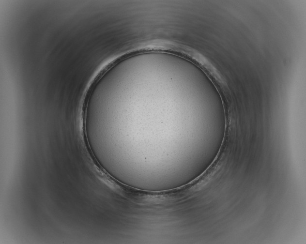 X0000112181232200908211453