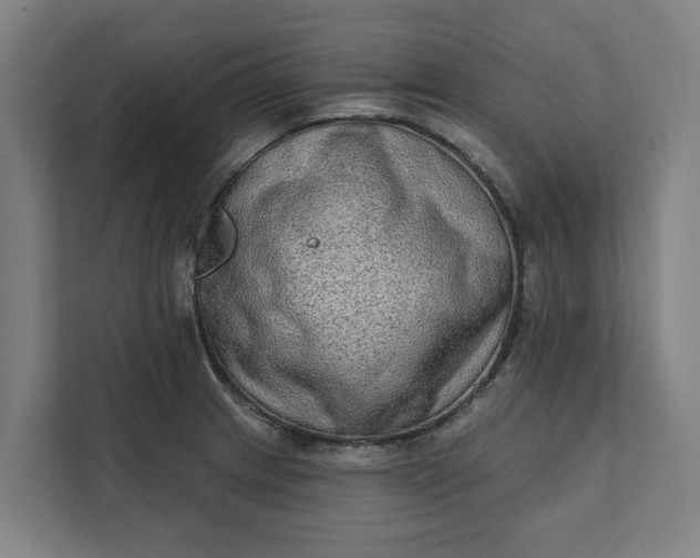 X0000112181233200908211453