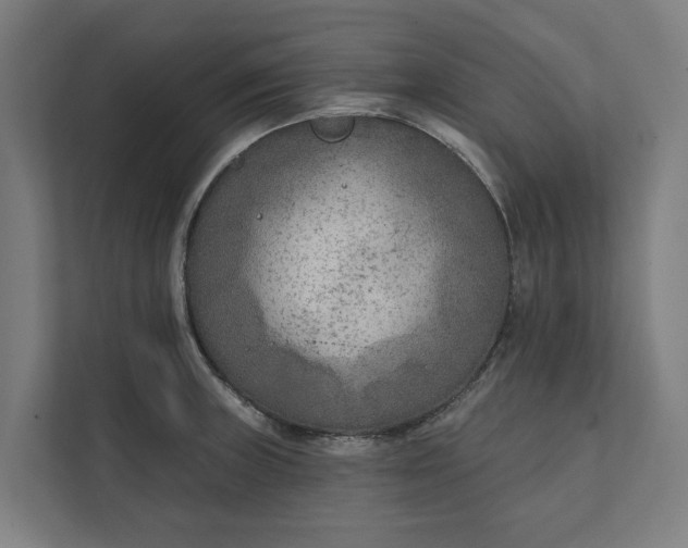 X0000112181235200908211453